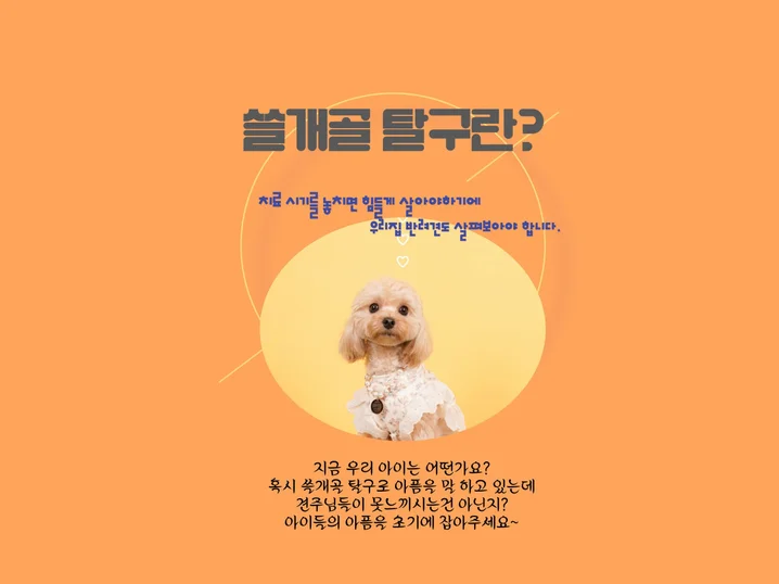 메인 이미지