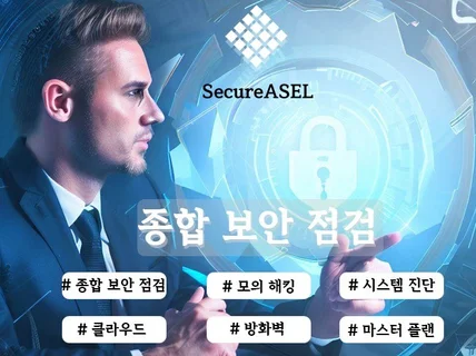 종합 취약점 점검 / 모의해킹/시스템/방화벽 점검