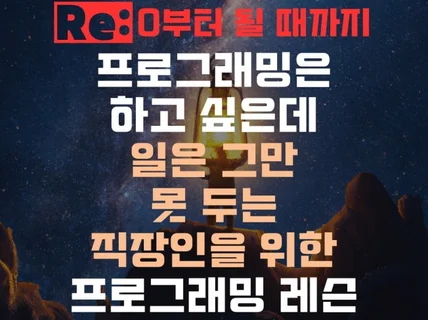 일을 그만 둘 수 없는 직장인들을 위한 프로그래밍 레슨