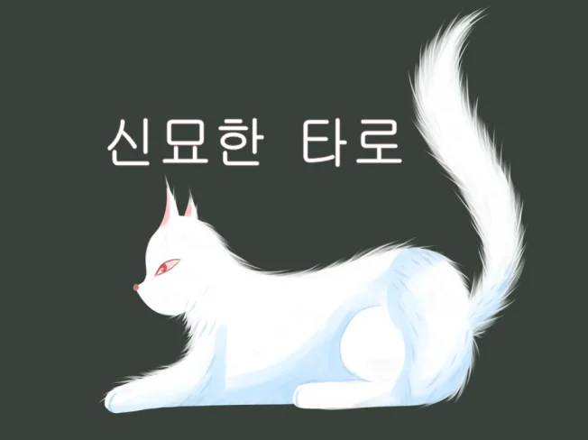 메인 이미지