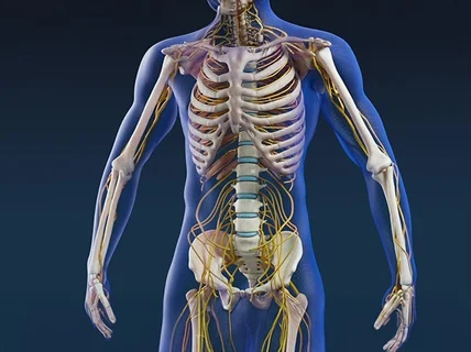 3D 수술 의료 의학 메디컬영상제작