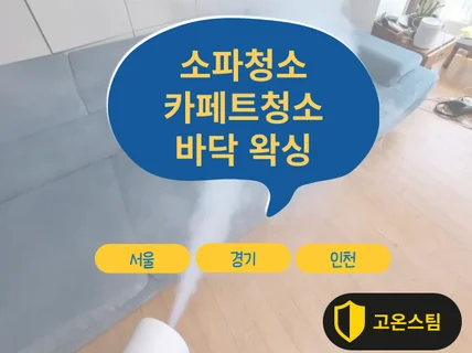 서울경기인천 패브릭 가죽 소파 카펫 바닥 왁싱 빈대제거