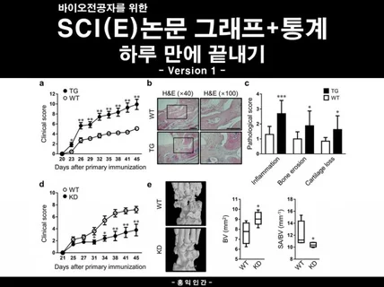 바이오 전공자를 위한 논문 그래프+통계 분석 가이드라인