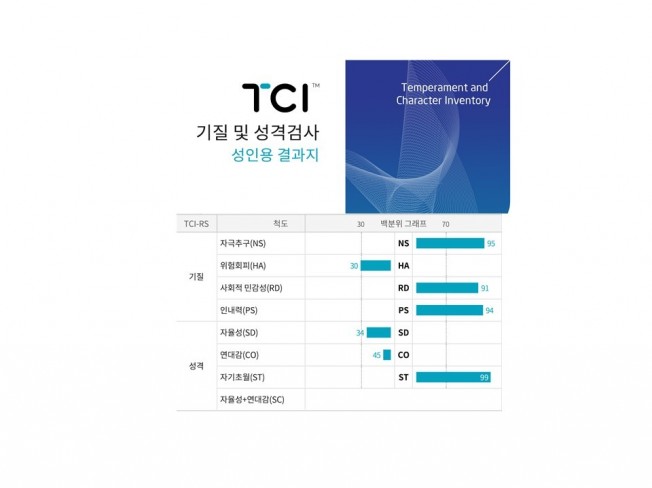 TCI CST 검사 보고서 해석상담을 해드립니다.