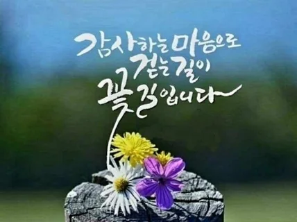 일상의 선택 결정이 어려운 모든 대상자의 결정장애 치료