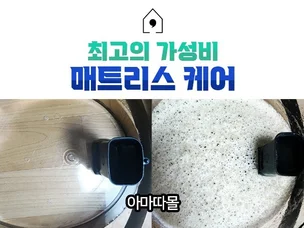 포트폴리오