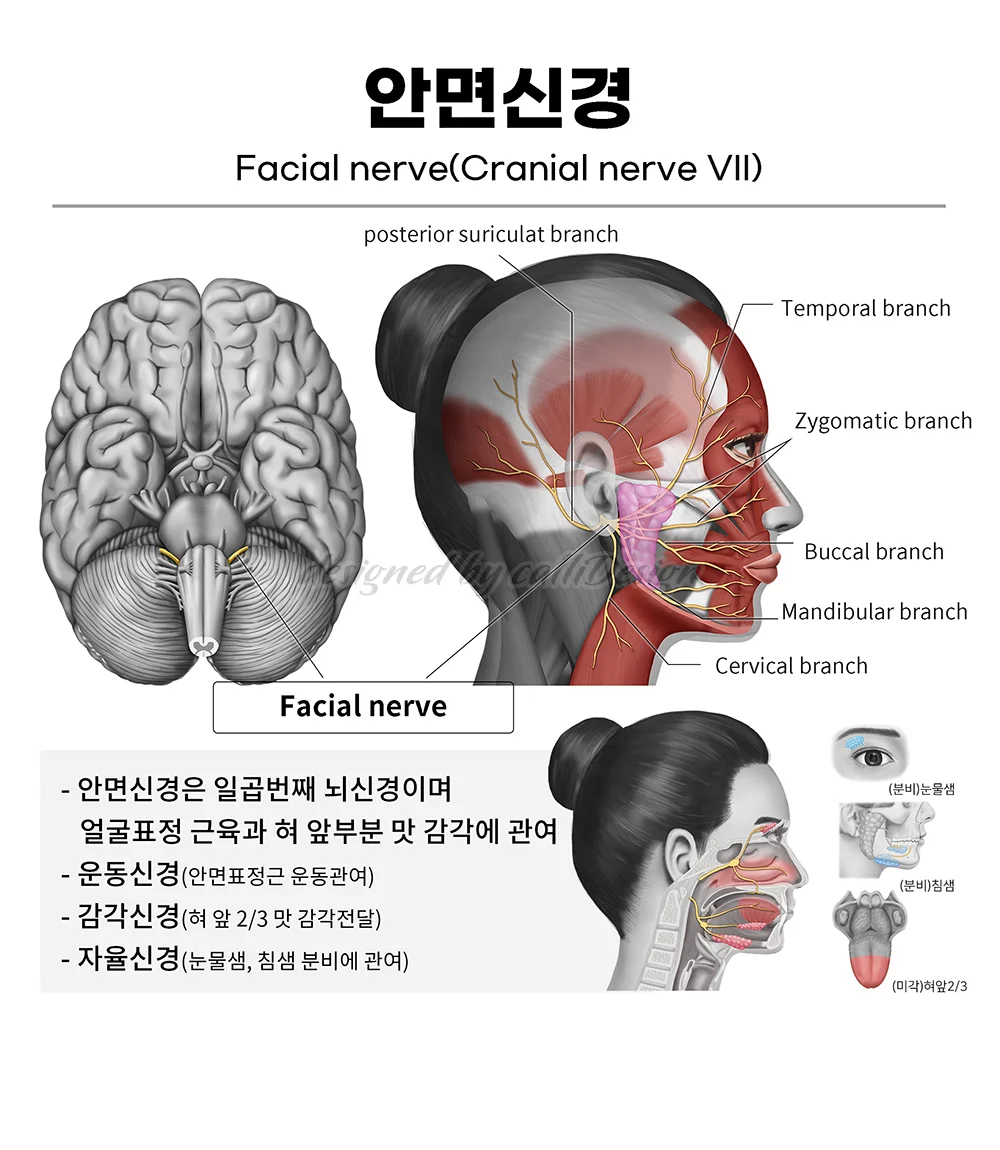 상세이미지-6