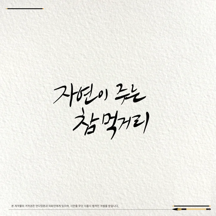 메인 이미지