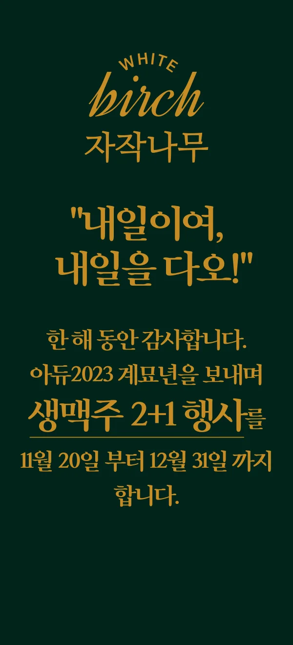 메인 이미지