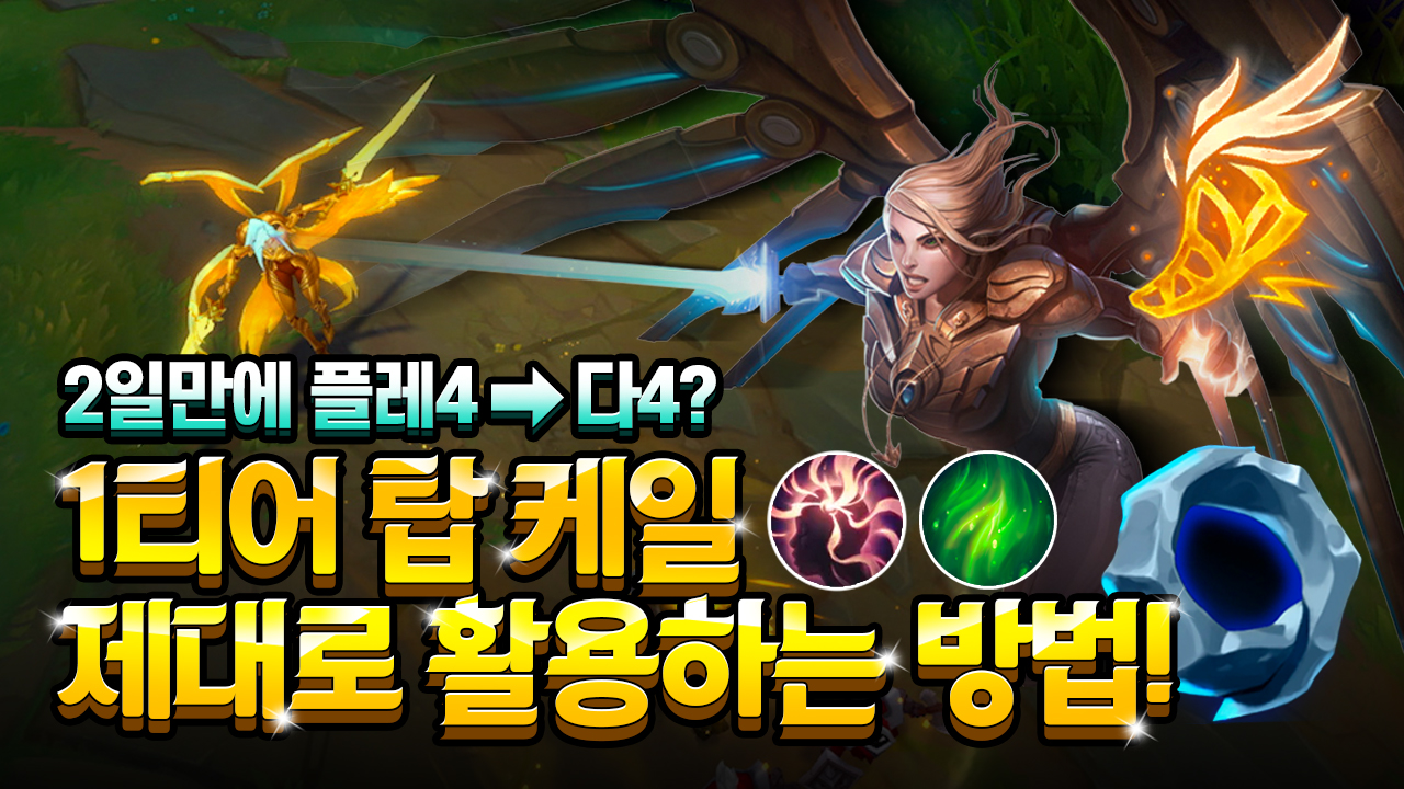 포트폴리오