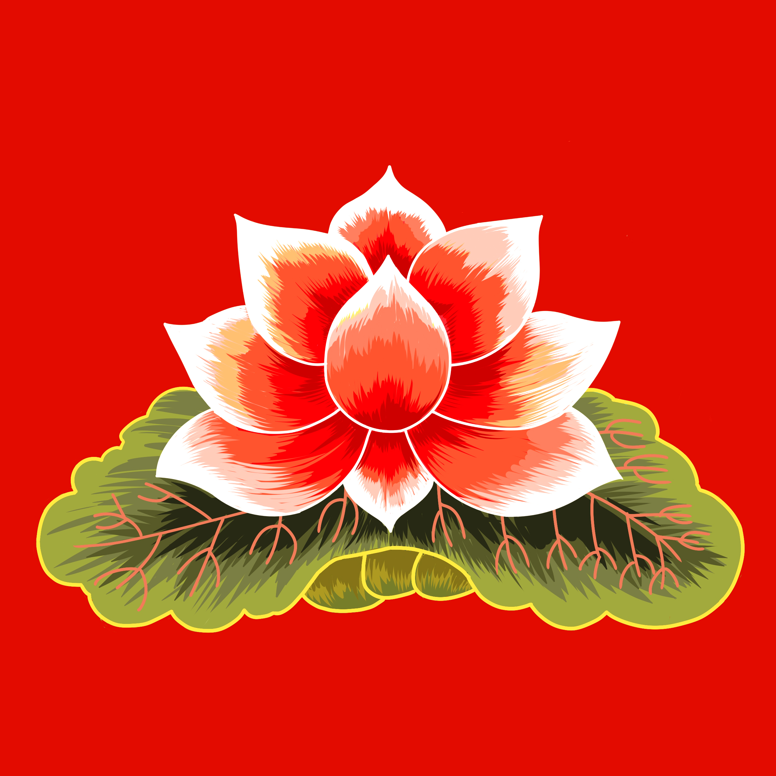 포트폴리오