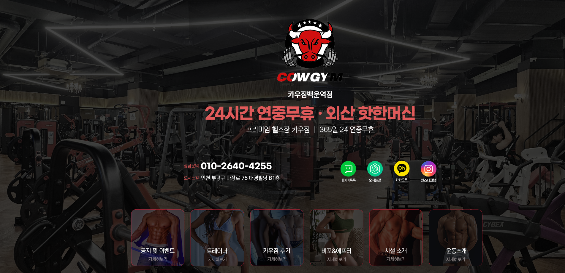 포트폴리오