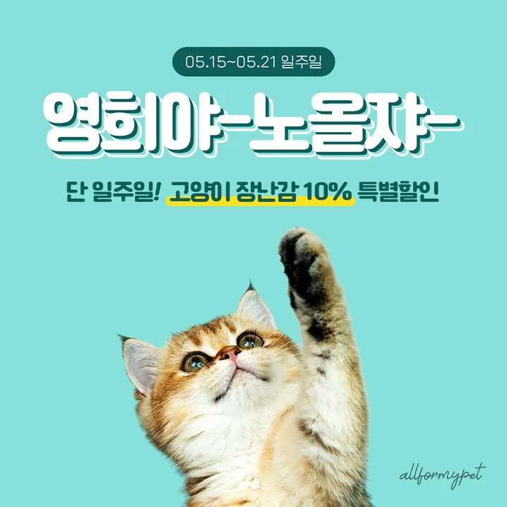 메인 이미지