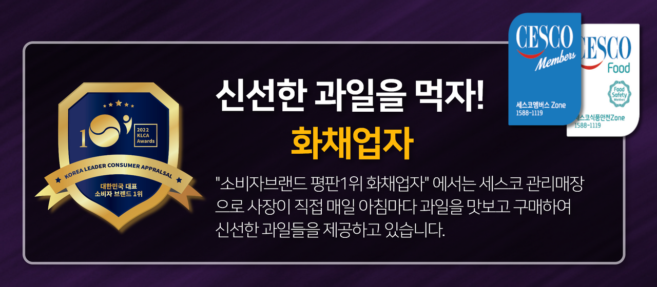 포트폴리오