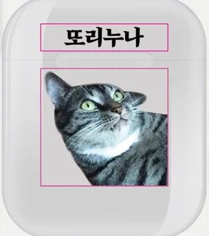 포트폴리오