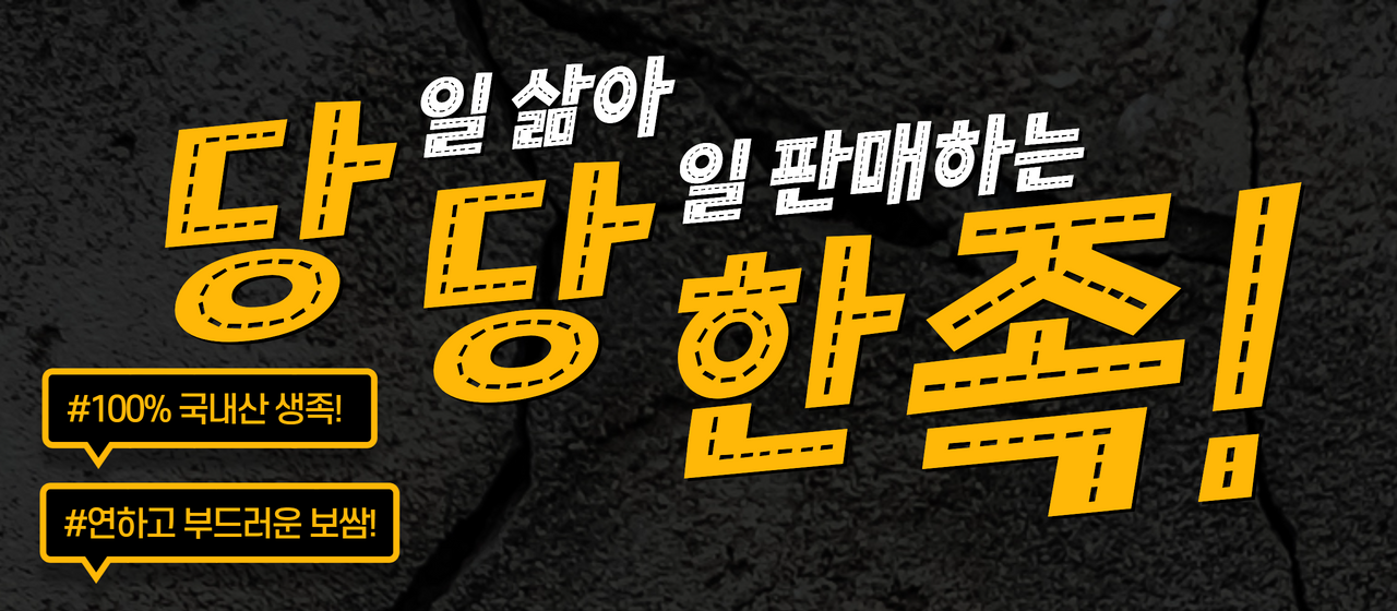 포트폴리오