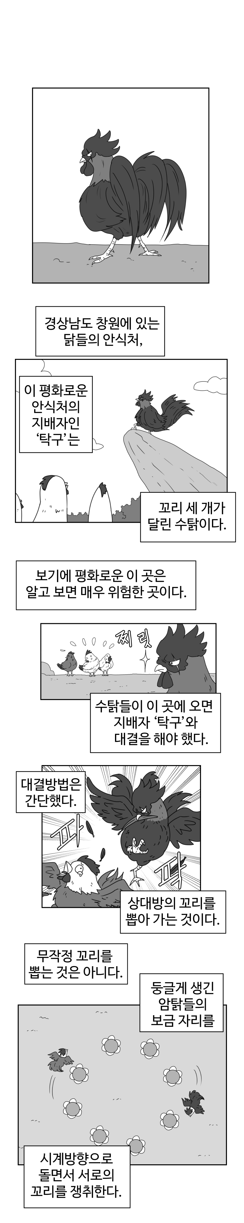 포트폴리오
