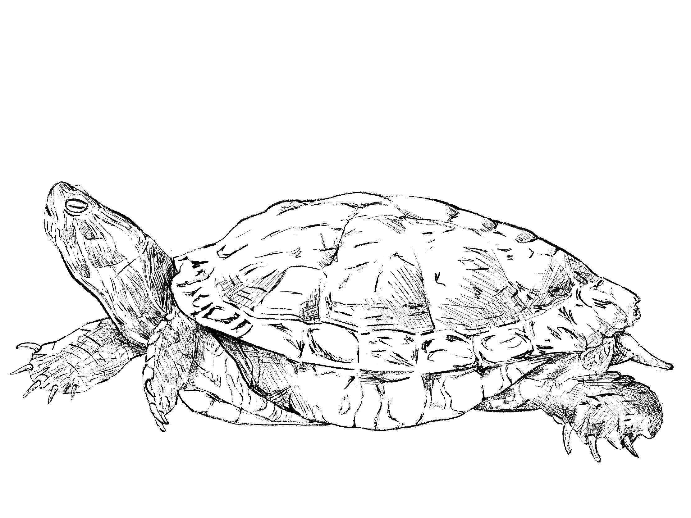 포트폴리오