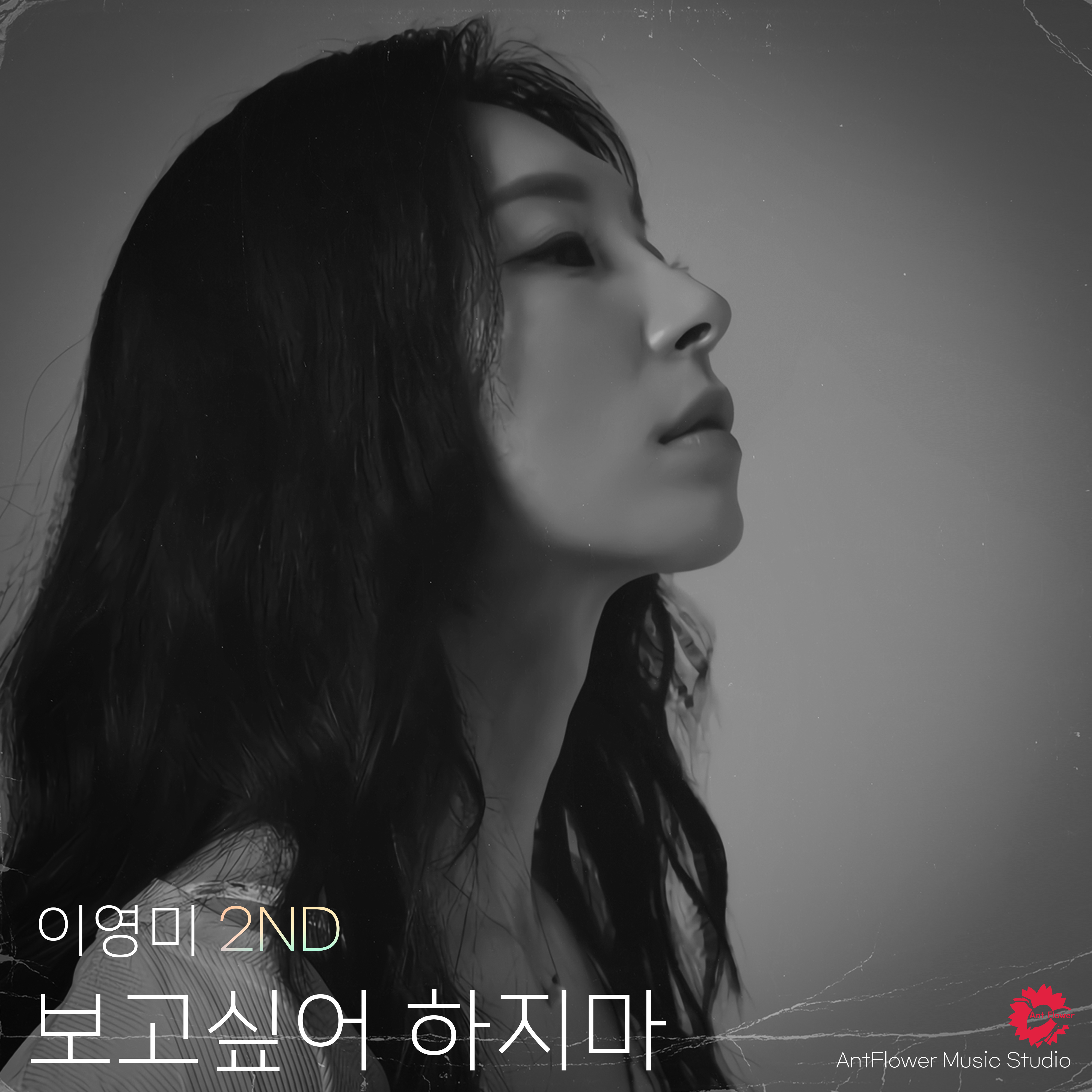 포트폴리오