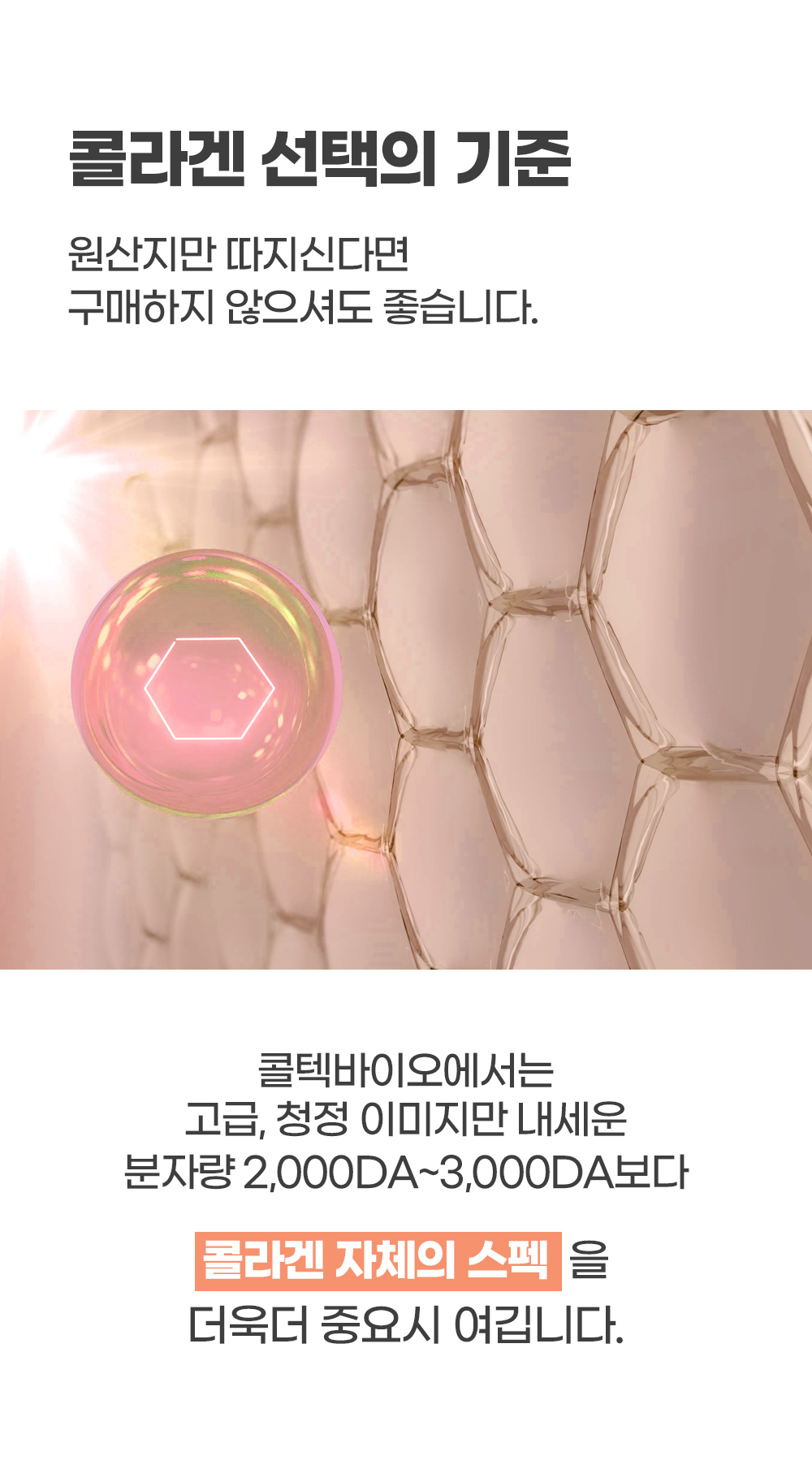 포트폴리오