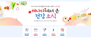 포트폴리오