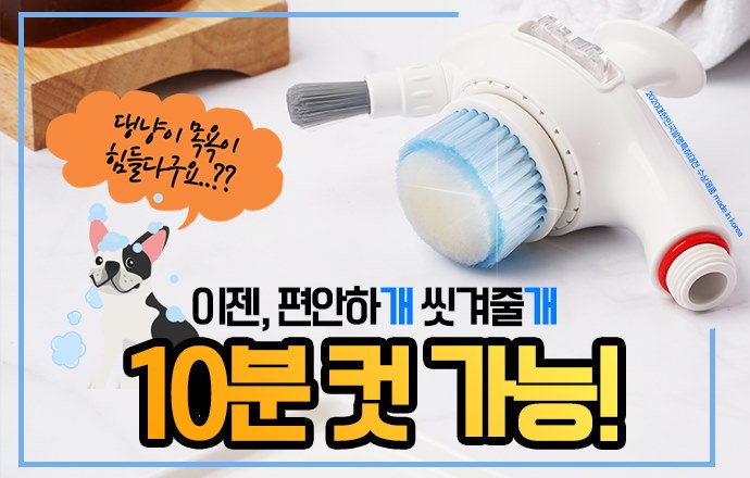 포트폴리오