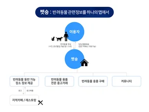 포트폴리오