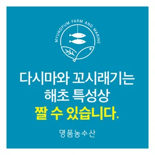 포트폴리오