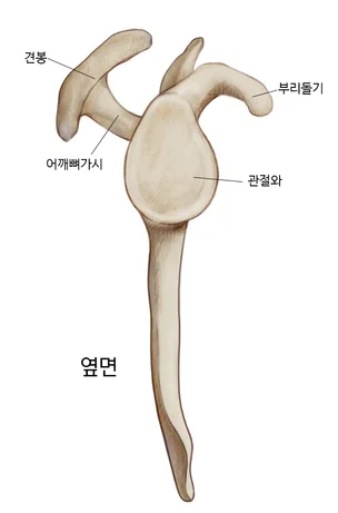 포트폴리오