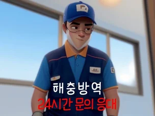 포트폴리오