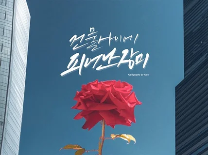 캘리그라퍼 1급/대한항공 캘리 공모 수상/간판, 로고