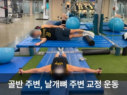 온라인 - 평생 써먹는 척추측만 체형 교정 PT