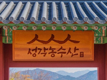 팀장 출신 디자이너가 만드는 브랜드 맞춤형 로고 디자인