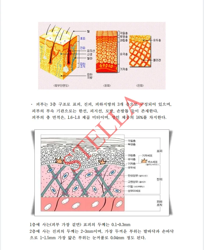 상세이미지-3