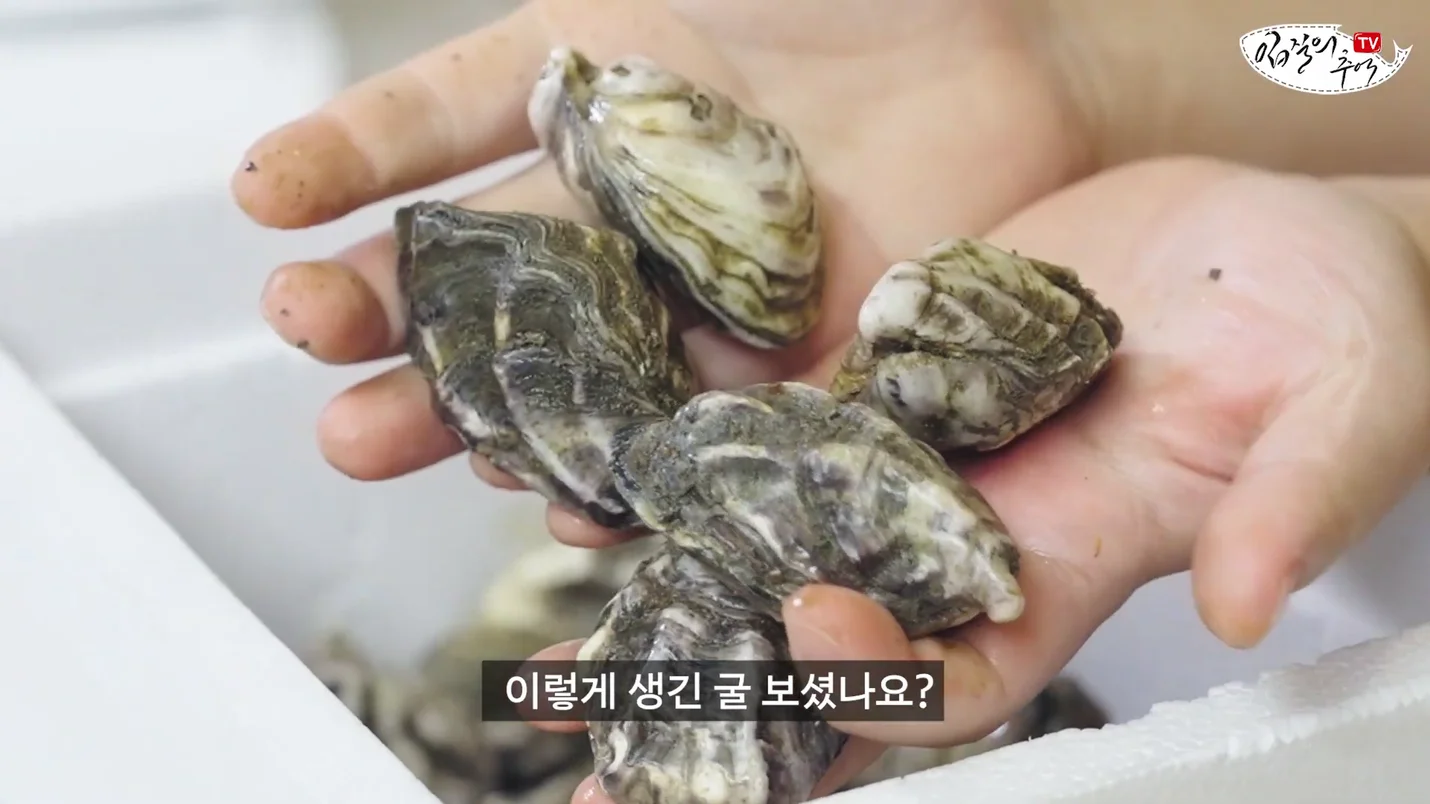 상세이미지-0