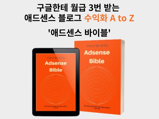 부업으로 월급 3번 받는 애드센스 바이블