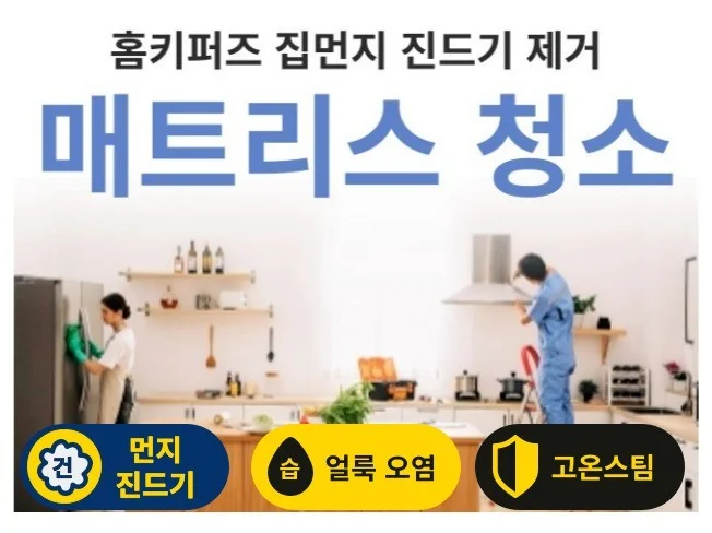 메인 이미지