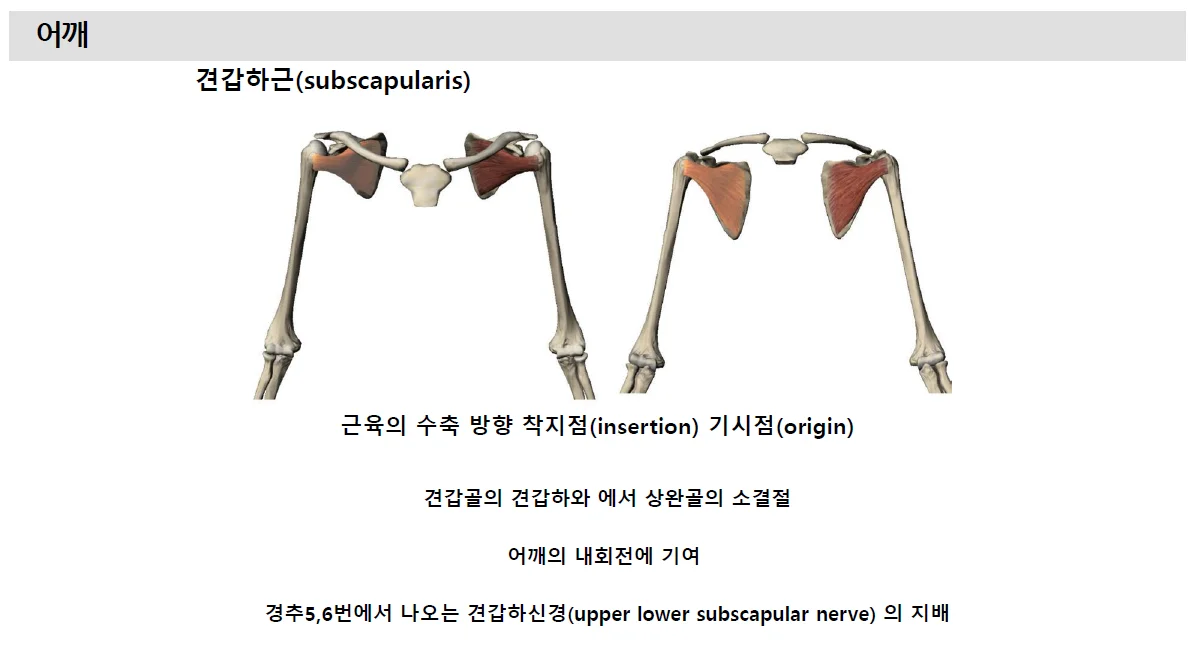 상세이미지-1