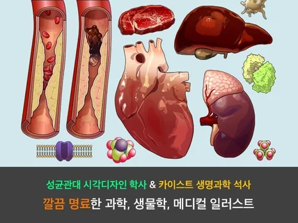 카이스트 생명과학 석사 출신 가독성 높은 과학 일러스트