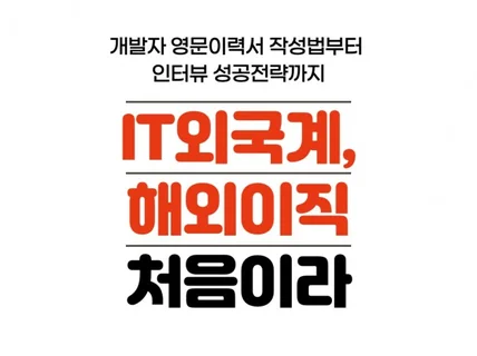 개발자, 엔지니어 IT 해외취업 무자본 성공 노하우