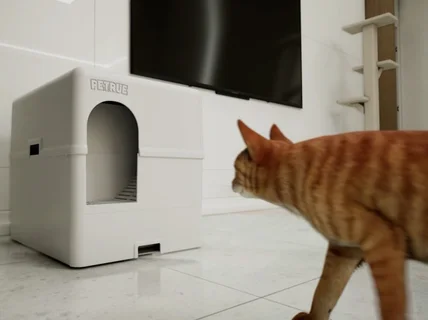 자동차,제품,VFX,CG,3D 시네마틱 영상 제작합니다