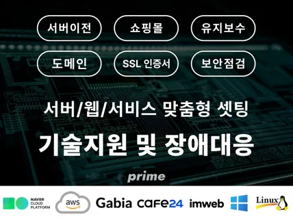 도메인/인증서/홈페이지/서버/세팅/이전/기술지원/취약점