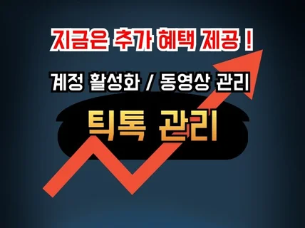 l 머니스쿨 l 틱톡 l 계정 l 마케팅 l 활성화 l