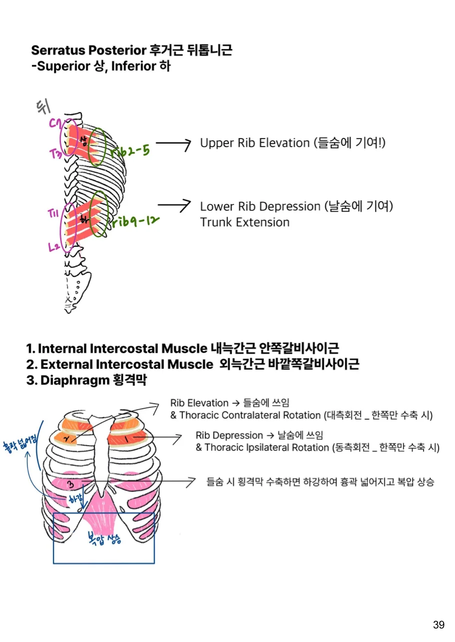 상세이미지-2