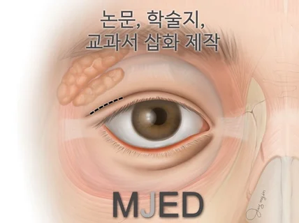 엠제드/인체 의학 논문 맞춤 이미지 24시간 상담