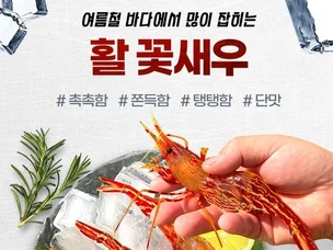 포트폴리오