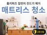 대전 침대 매트리스 건식 습식 청소 빈대 퇴치