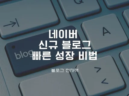 N 블로그 빠른 지수 상승 비법