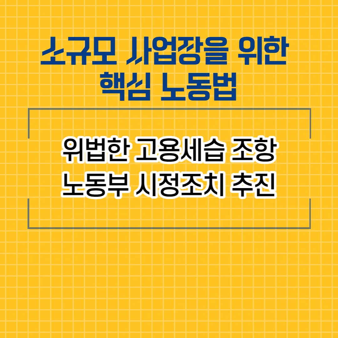 상세이미지-3