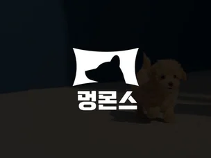 포트폴리오